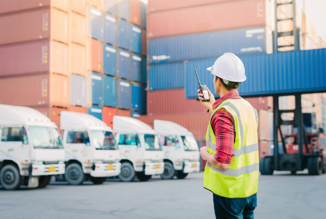 logistica izc